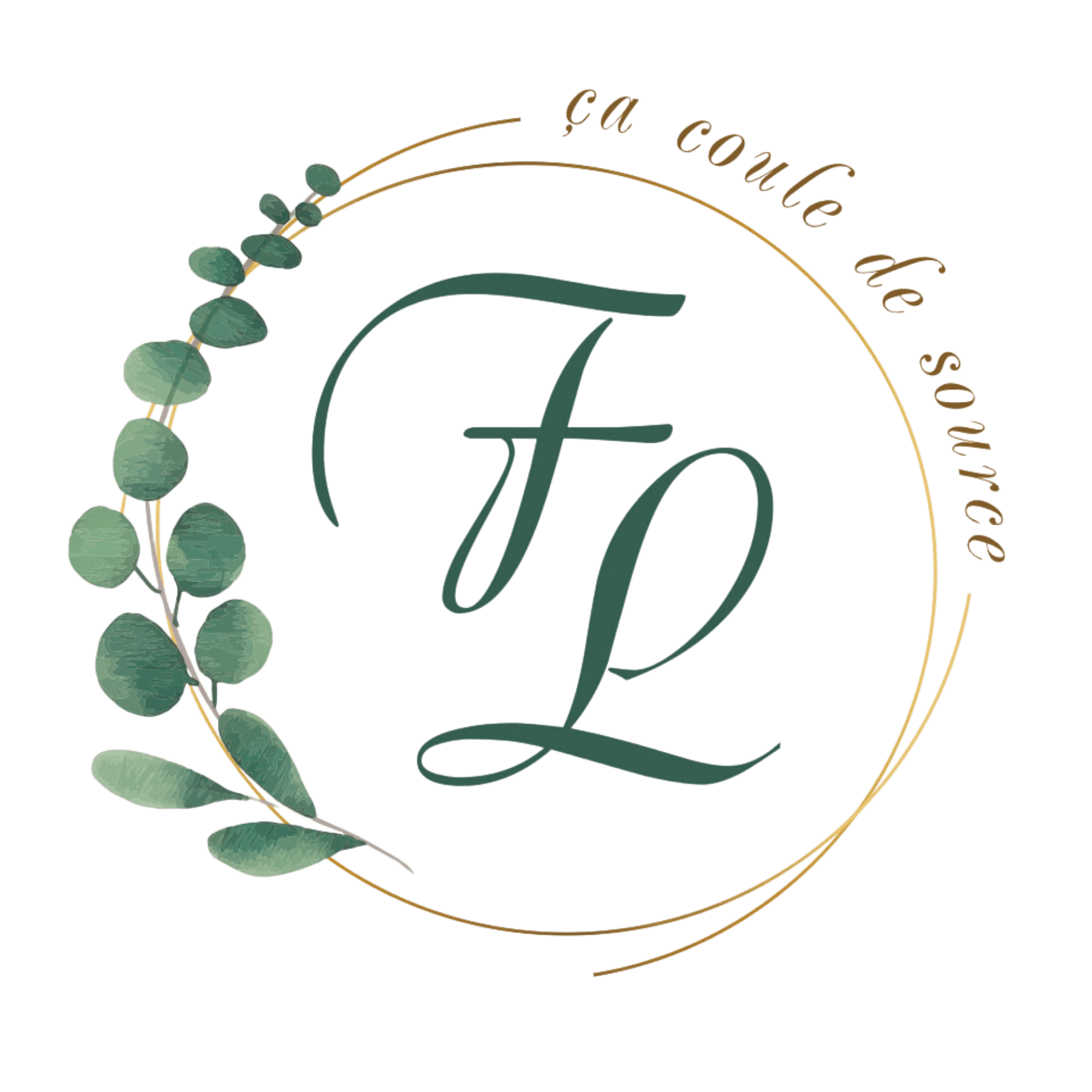 logo ca coule de source comp